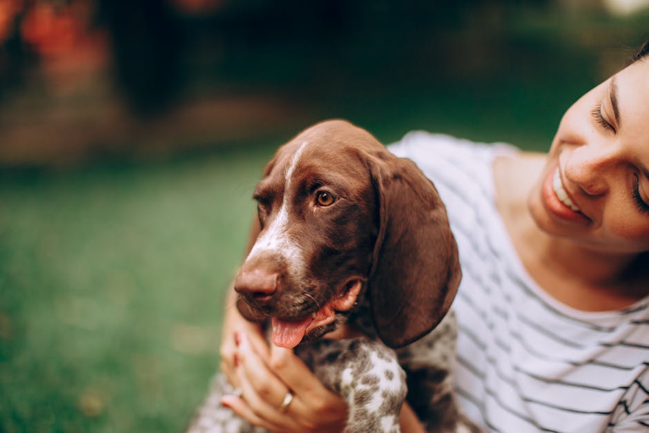 The Importance of Play in Adult Life