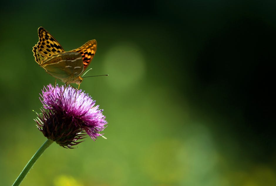 Create a Balanced Life with These Tips