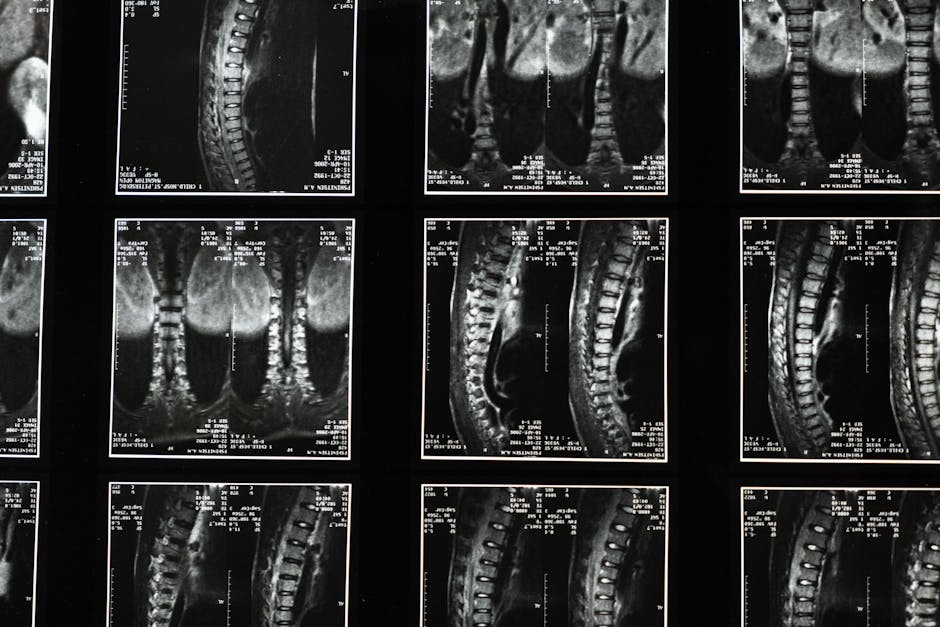 Chiropractic Techniques for Spinal Alignment