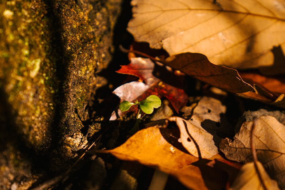 Create a Balanced Life with These Tips