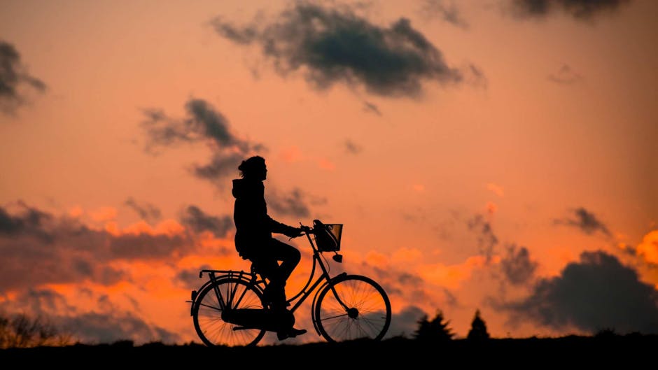 Begin Your Journey to Better Health Today